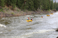 20260508-IMG_7239