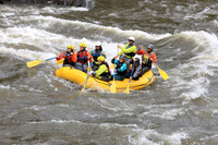 20260508-IMG_7294