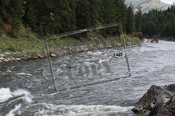 20220709-IMG_9353