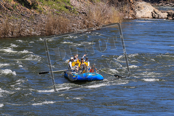20260524-IMG_4564
