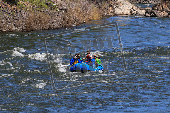 20260524-IMG_4617