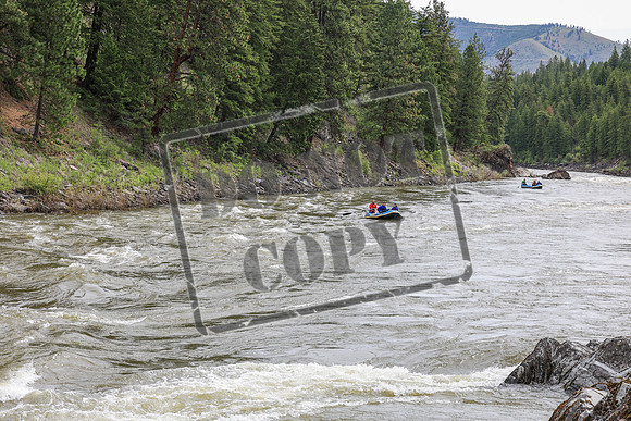 20260606-IMG_5840