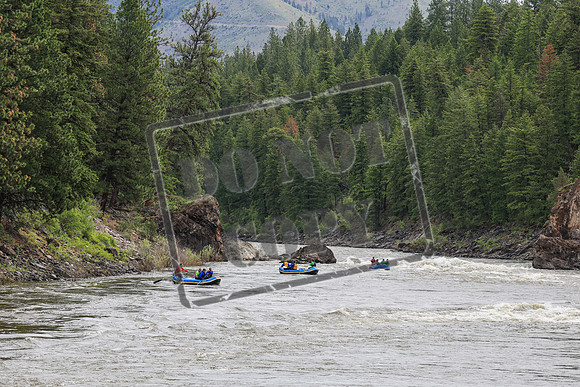 20260606-IMG_5837