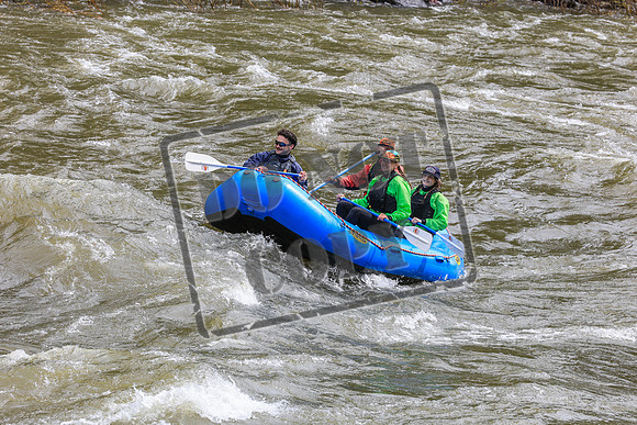 20260606-IMG_5893