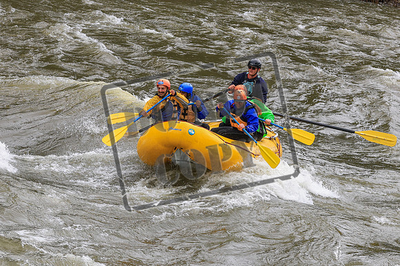 20260606-IMG_5774