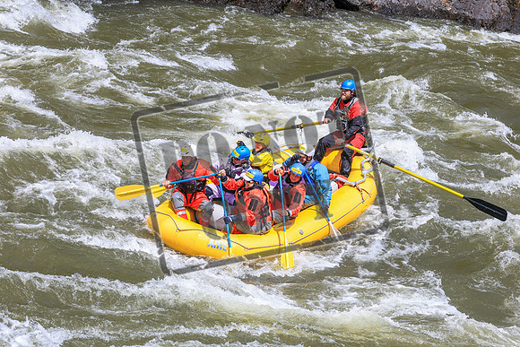 20260607-IMG_7446