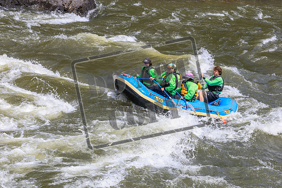 20260608-IMG_8016