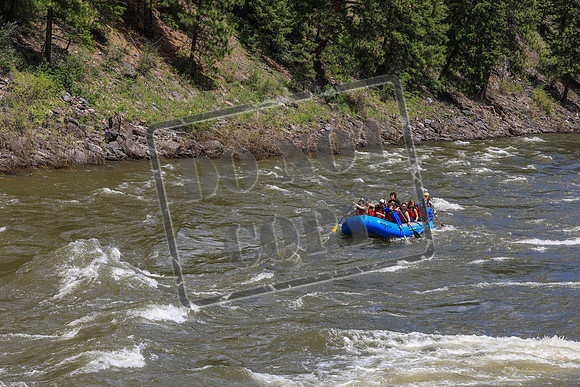 20260608-IMG_7894