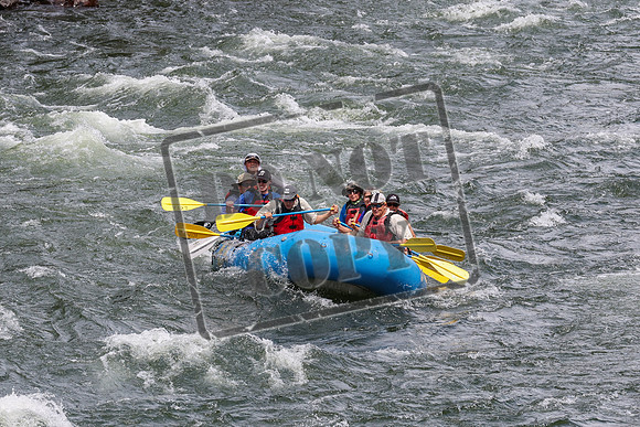 20240714-IMG_2430