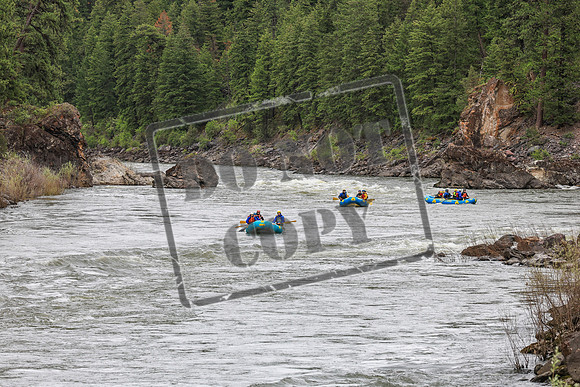 20260610-IMG_8131