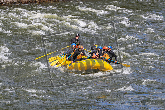 20260612-IMG_9352
