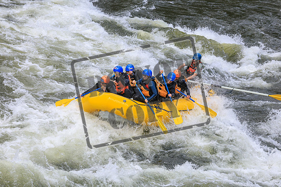 20260612-IMG_9392