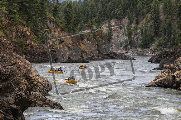 20260613-IMG_1078