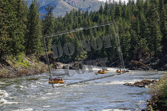 20260613-IMG_0041