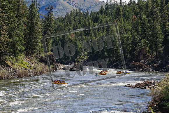 20260613-IMG_0039
