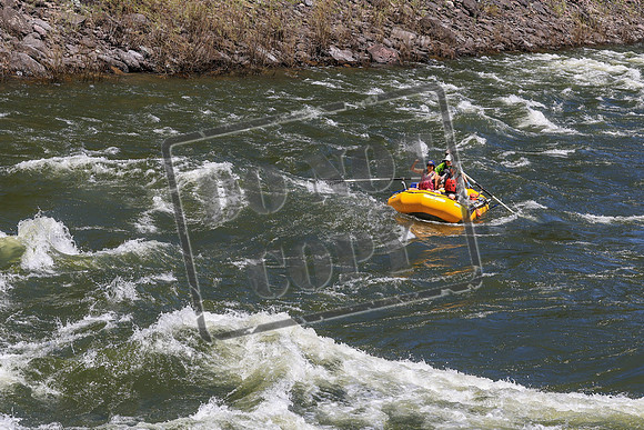 20260614-IMG_1689