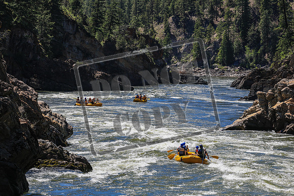 20260614-IMG_2072