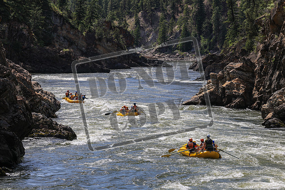 20260615-IMG_2883