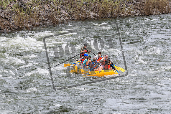 20260615-IMG_2588
