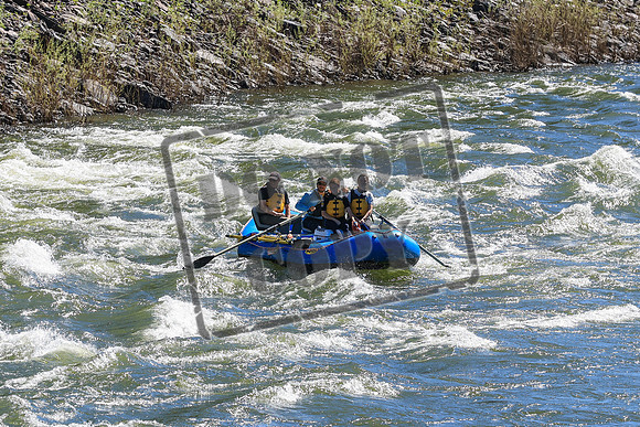 20260616-IMG_2903