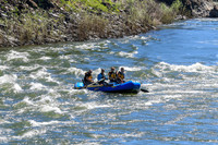 20260616-IMG_2902