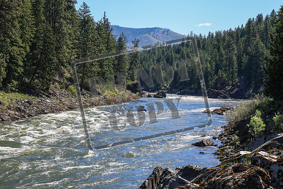20260616-IMG_2901