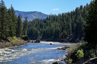 20260616-IMG_2899