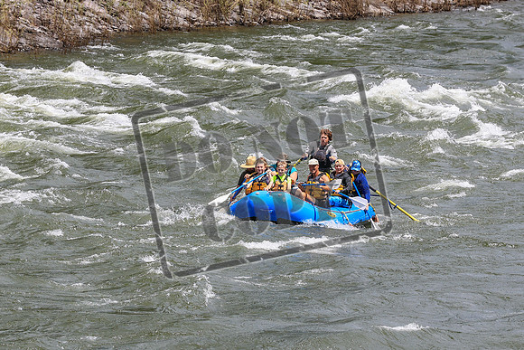 20260616-IMG_3583