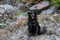20260616-IMG_3337