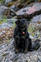 20260616-IMG_3350