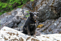 20260616-IMG_3570