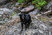 20260616-IMG_3328
