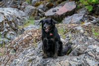 20260616-IMG_3338