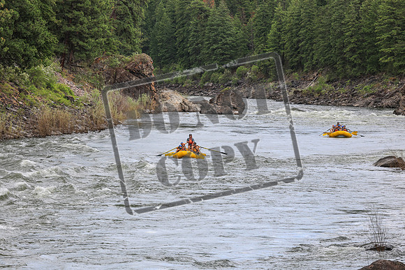 20260616-IMG_3362