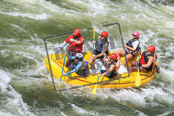 20260616-IMG_3767