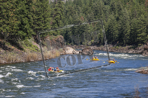 20260616-IMG_3739