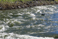 20260616-IMG_2952