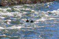 20260616-IMG_2950