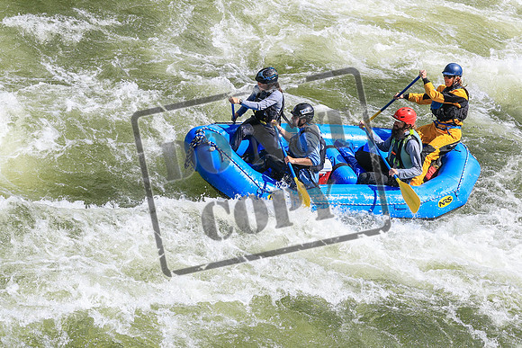20260616-IMG_3133