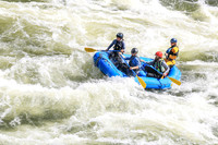 20260616-IMG_3130