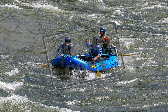 20260616-IMG_3118