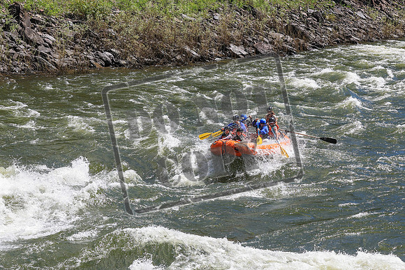 20260616-IMG_3061