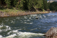 20260617-IMG_4836