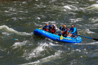 20260617-IMG_4514