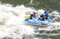 20260617-IMG_4524