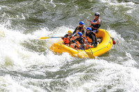 20260617-IMG_3858