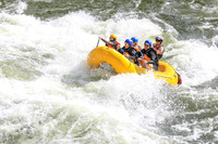 20260617-IMG_3861