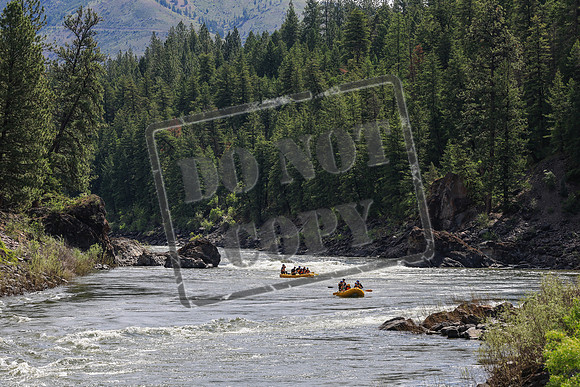 20260617-IMG_3846
