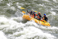 20260617-IMG_3889