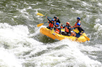 20260617-IMG_3890